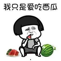 吃瓜娱乐圈动画